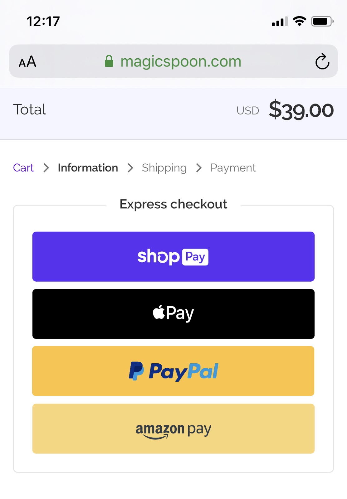 ecommerce payment options