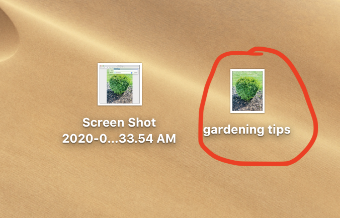 gardening tips alt text for blog images