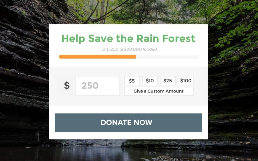 7 Best WordPress Donation Plugins