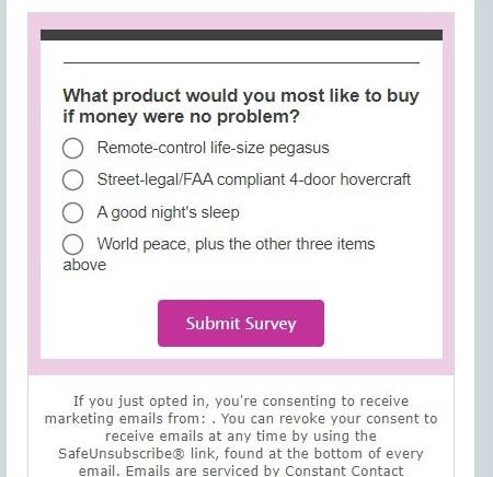 example of ecommerce customer survey embedded in email using constant contact