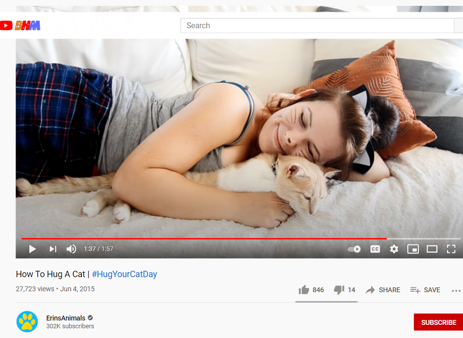 hug your cat day video
