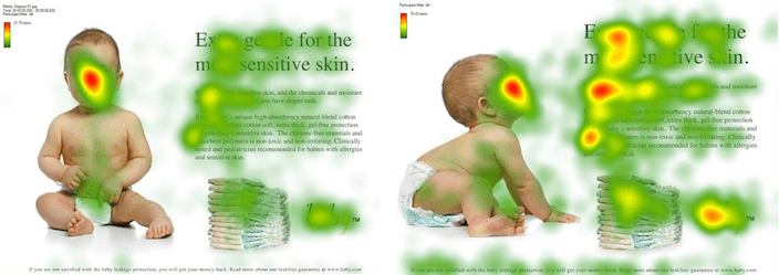 website conversion heatmap