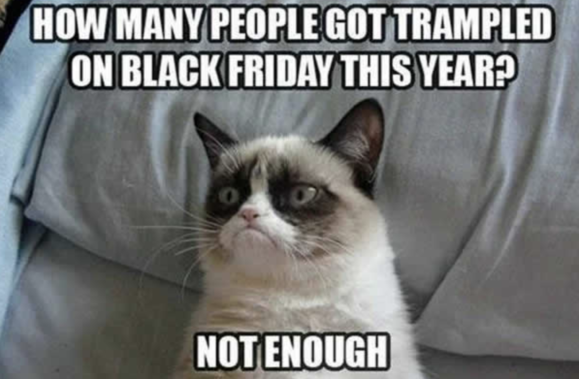 grumpy cat black friday meme