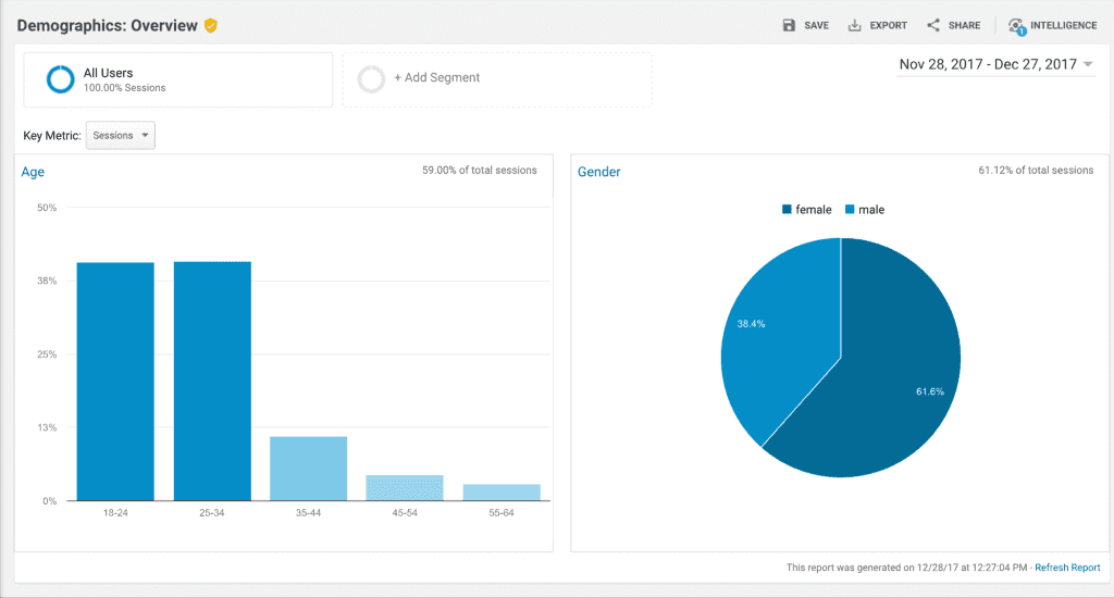 use Google Analytics to see website visitor demographics