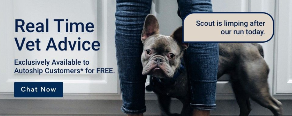 Chewy.com offers free vet consultations as an added perk for their autoship customers