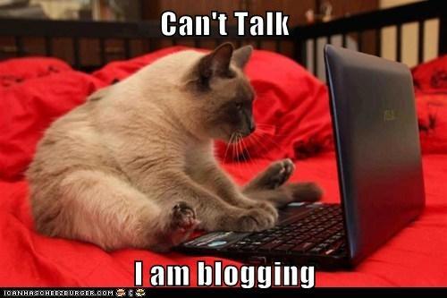 cat meme can't talk am blogging